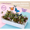 Timeless Butterfly Collection