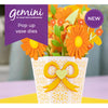 Gemini Pop Up Vase Collection