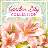 Heartfelt Creations Garden Lily Collection